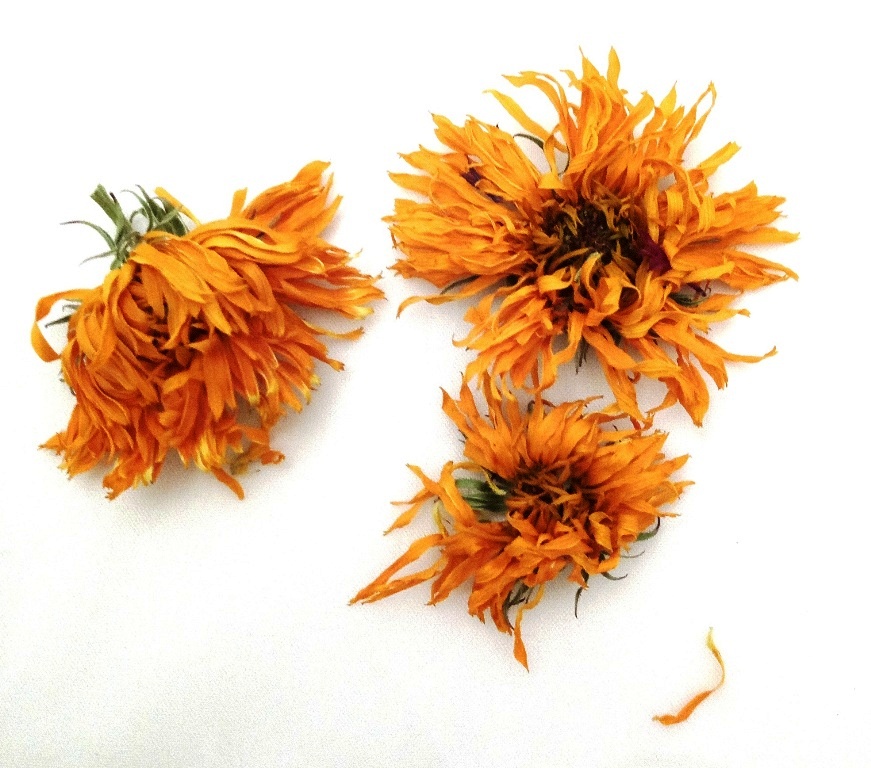 fiori di calendula 15g IT Bio 013 - Bild 3